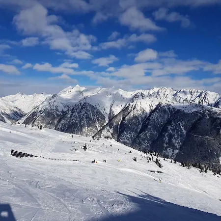 Am Leisnitzbach Appartement *